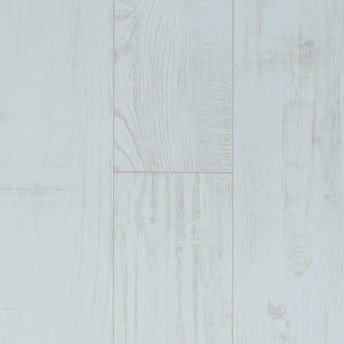 Chestnut White 62003061.jpg