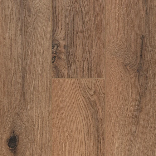 Gyant Brown Natural 62003070.jpg