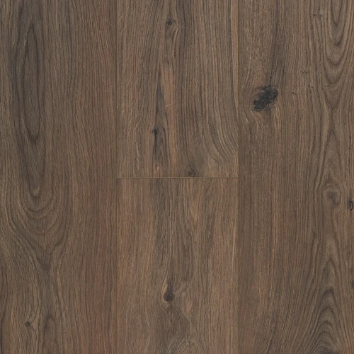 Gyant Dark Brown 62003071.jpg