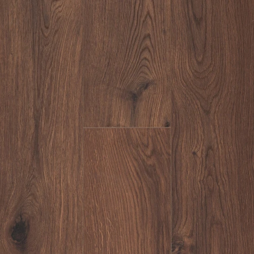 Gyant Warm Brown 62003078.jpg